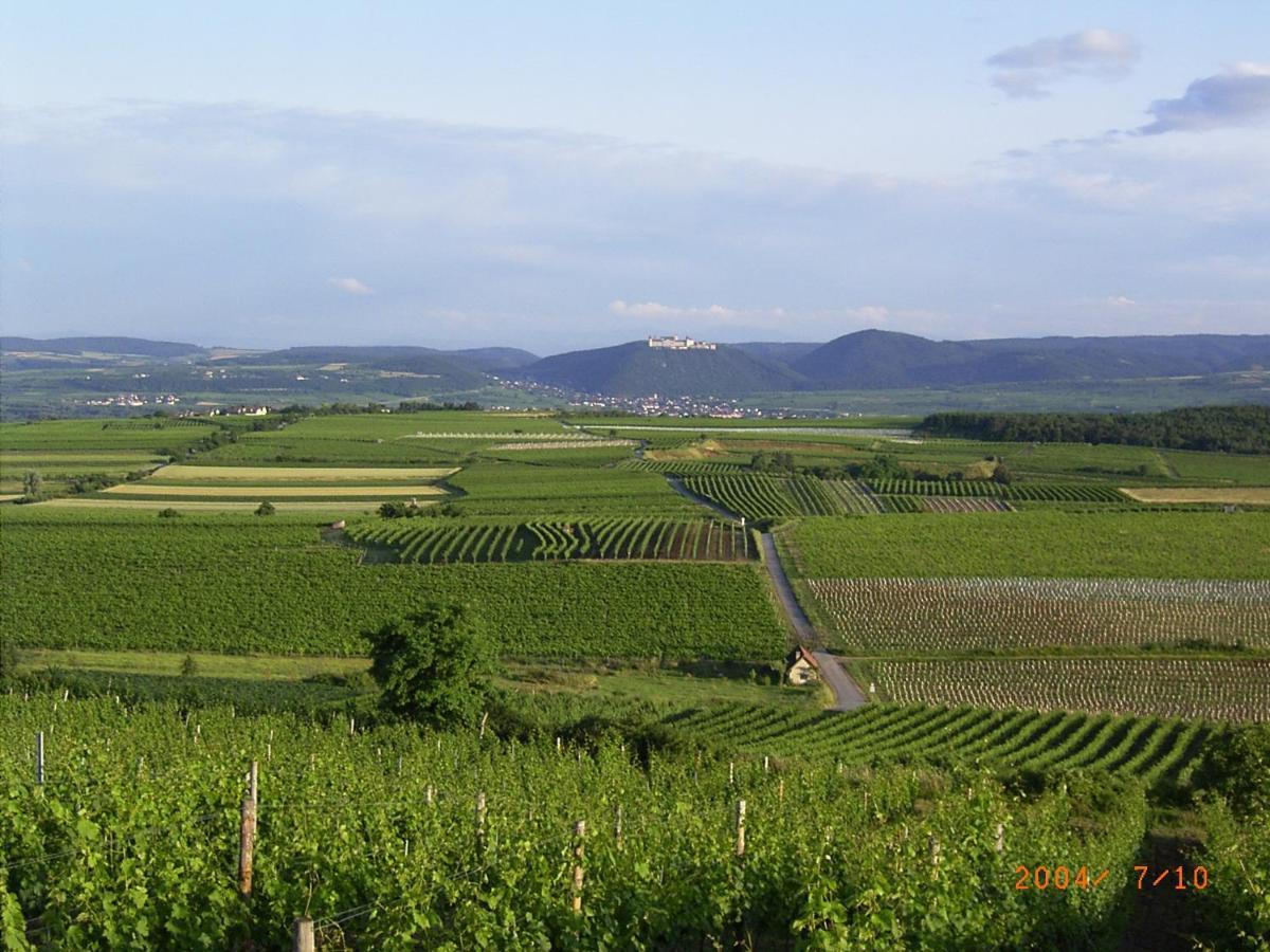 Asbacher Klosterkeller Stratzing Εξωτερικό φωτογραφία
